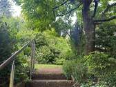 IMG_6127 - 