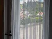 IMG_6164 - 