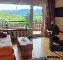 Wohnung mit Ausblick und großem Balkon - Todtnauberg