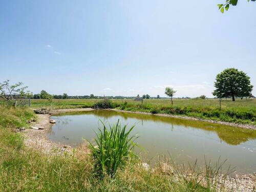 Teich - Mehrfamilienhaus, Wohnhaus mit 285,00 m&sup2; in Münsterhausen zum Kaufen