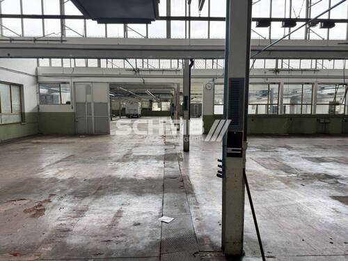 viel Platz - 