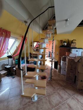 Wendeltreppe, Zugang zu Nutzfläche.jpg - 