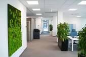Bild 1 - Top-modernes Flex-Desk im LEED-GreenHouse im Zentrum von Frechen