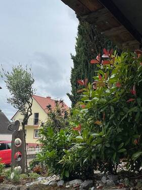 Vorgarten - 