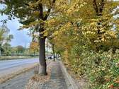Umgebung - 