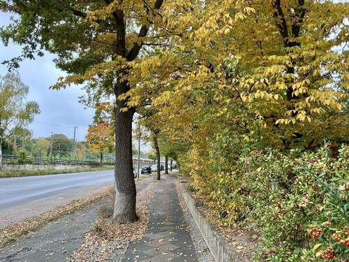 Umgebung - 