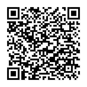 QR-Code - 