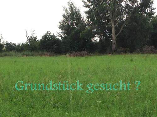 Grundstück gesucht .JPG - Grundstücke im Paket Nähe Schönefeld
