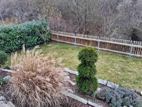 Blick in den Garten - 