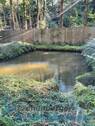 Fischweiher.jpg - 