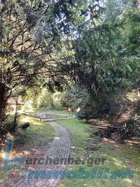 Natur pur.jpg - 