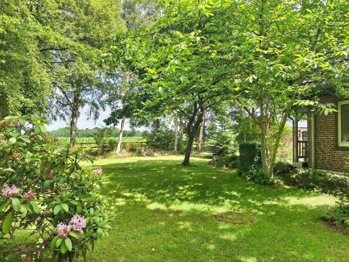 Viel Platz und schöner Baumbestand im Garten - 