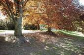 Parkanlage am Lietzensee - 