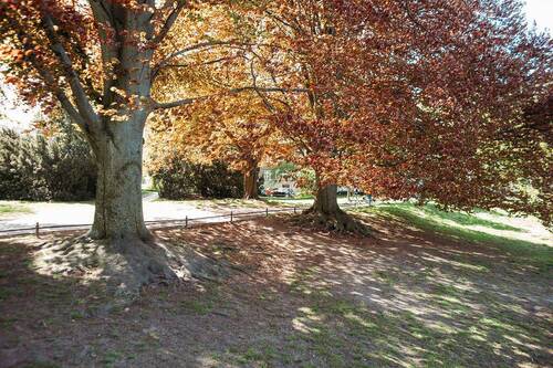 Parkanlage am Lietzensee - 