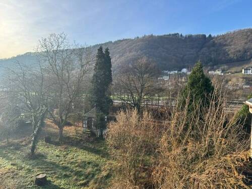 Ausblick - Hotel, Pension, Gasthof in Enkirch zum Kaufen