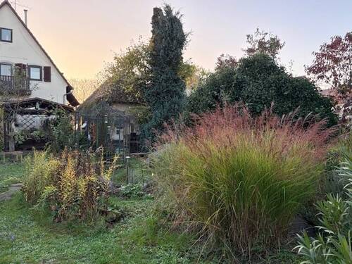 Schöner Gartenbereich - 