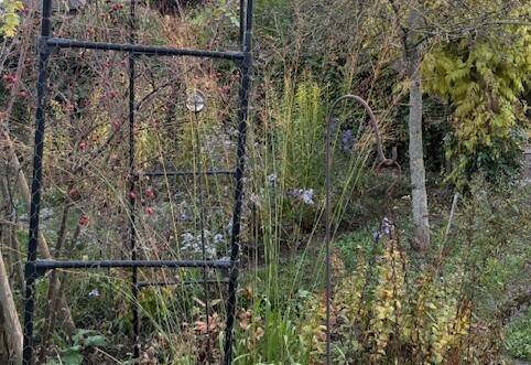 Blick in den Garten - 