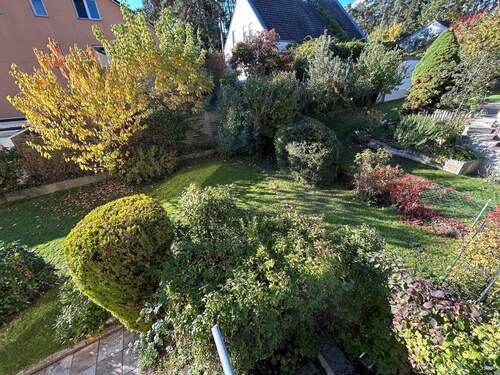 1 Blick in den Garten - 