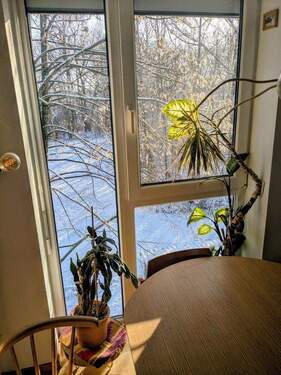 Blick Hinterseite Haus - 