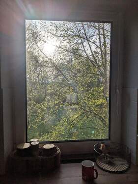 Blick Küchenfenster - 