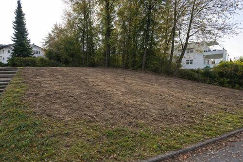 Grundstück gerodet (KI-bearbeitet) - Grundstück zum Kaufen in Lörrach