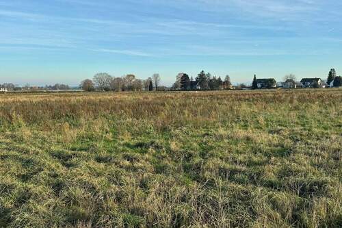 Grundstück - Grundstück zum Kaufen in Bornheim