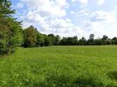 Nachbar rechts - 