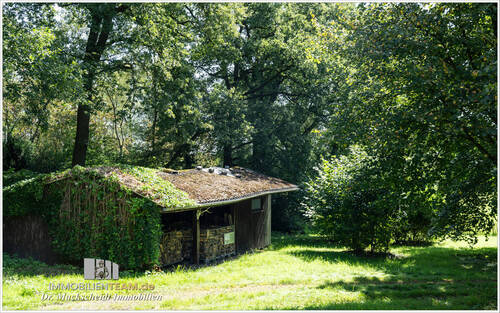 schule-im-wald-zu-verkaufen-Niederrhein-05 - 