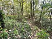 Bild 10 - 