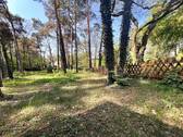 Bild 12 - 