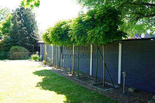 Garten - 