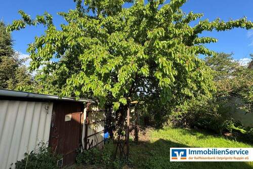 Kirschbaum - 