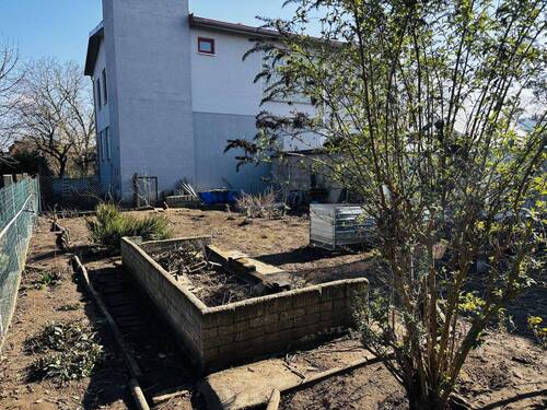 großer Nutzgarten auf der Ostseite - 