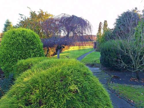 langgestreckter Garten mit Blick ins Freie - 2 Zimmer Einfamilienhaus in Ostrohe