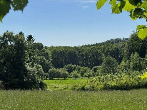 32-Rasenfläche_Blick Richtung Naturpark - 