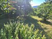 20250819_163240.jpg - 