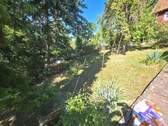 20250819_163324.jpg - 
