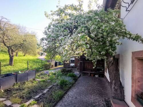 Garten - 