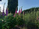 Ort zum Entspannen - 