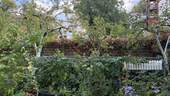 Garten - 