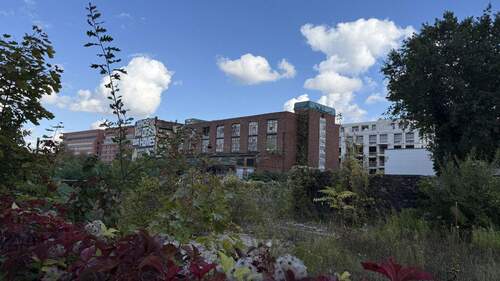 Blick vom Garten - 