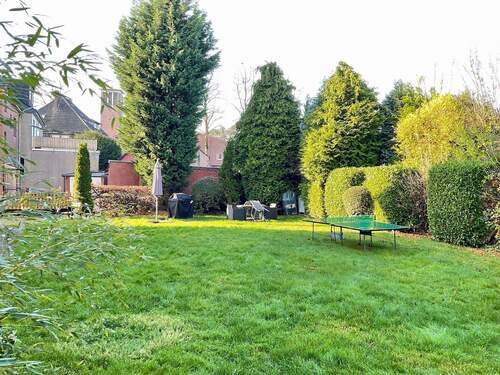 Gemeinschaftsgarten - 