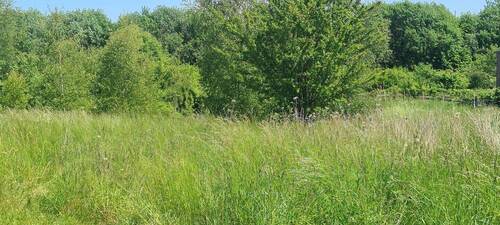 Garten - Grundstück zum Kaufen in Papendorf