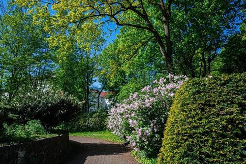 Umgebung - 