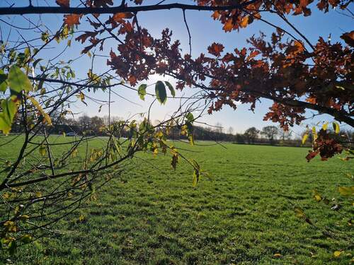 Blick aus dem Garten über die grünen, unverbauten Felder - 