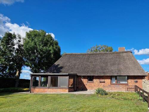 Südansicht - Einfamilienhaus mit 80,00 m&sup2; in Drelsdorf zum Kaufen