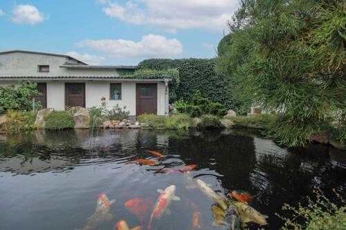 Koi Teich - 5 Zimmer Einfamilienhaus zum Kaufen in Könnern