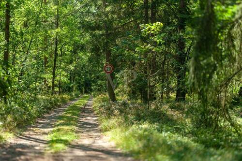 Zuwegung - 