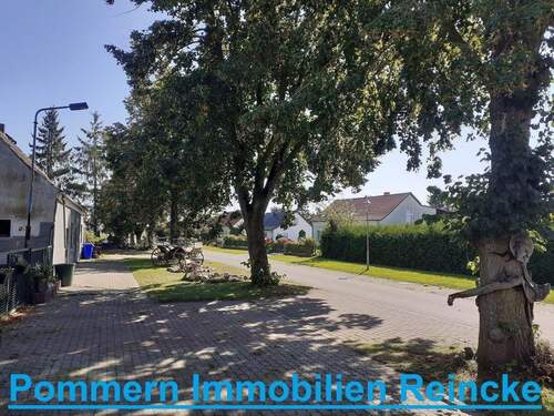 Gehweg und Straße am Grundstück.jpg - 4 Zimmer Mehrfamilienhaus, Wohnhaus in Krien