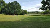 Ganz nah Wiese am See Rothemühl - 